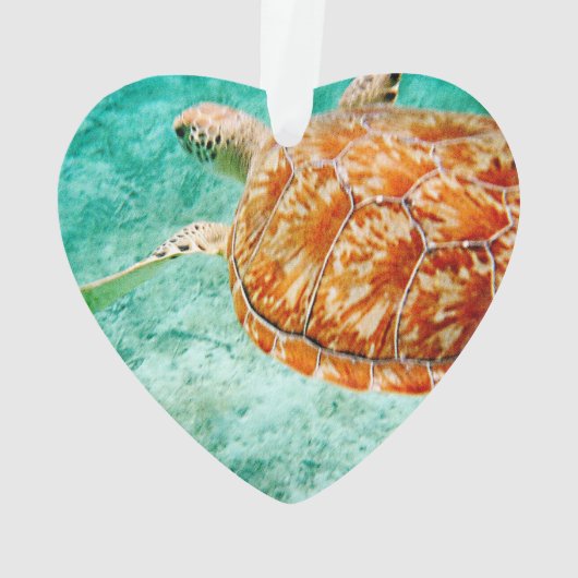 Zee Turtle Ornament (achterkant)
