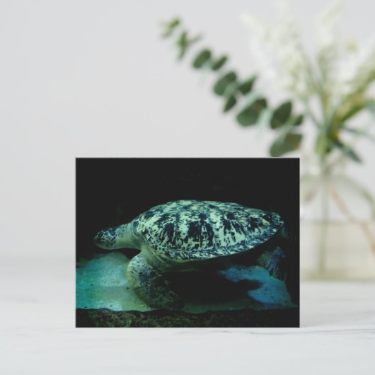 Zee Turtle Post Card Briefkaart (Staand voorkant)
