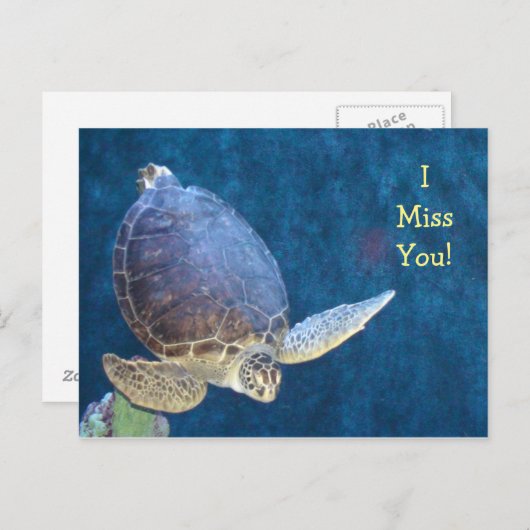 Zee Turtle Post Kaart (Voeg je eigen tekst toe) (Voorkant / Achterkant)