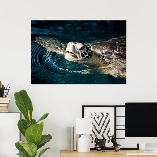 Zee Turtle Poster (Thuiskantoor)