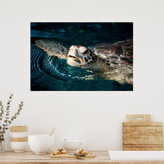 Zee Turtle Poster (Keuken)