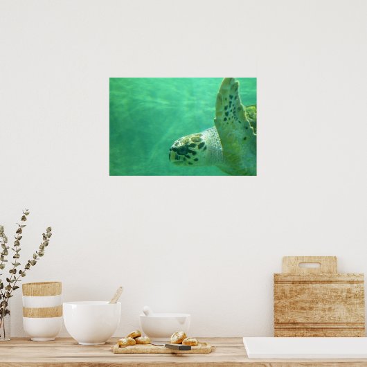 Zee Turtle Poster (Keuken)
