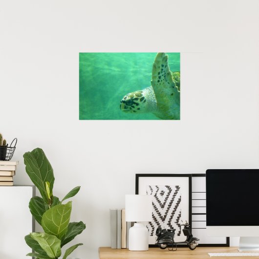 Zee Turtle Poster (Thuiskantoor)