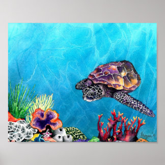 Zee Turtle Poster