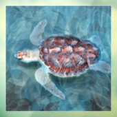 Zee Turtle Raamsticker (Vel 3)