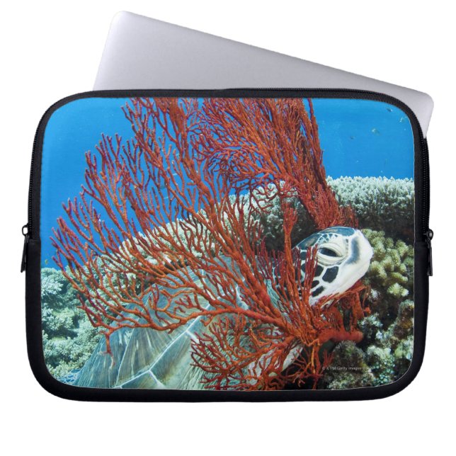 Zee Turtle Resting Laptop Sleeve (Voorkant)