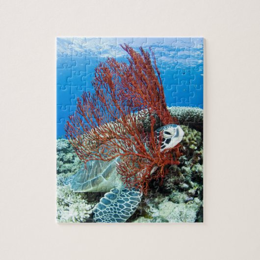Zee Turtle Resting Legpuzzel (Verticaal)