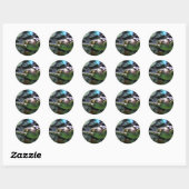 Zee Turtle Ronde Sticker (Vel)
