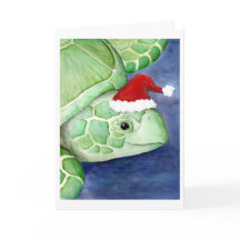 Zee Turtle Santa