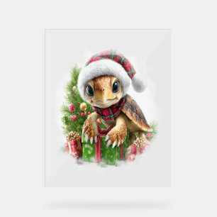 Zee Turtle Shirt Christmas Santa Hat Acryl Bord