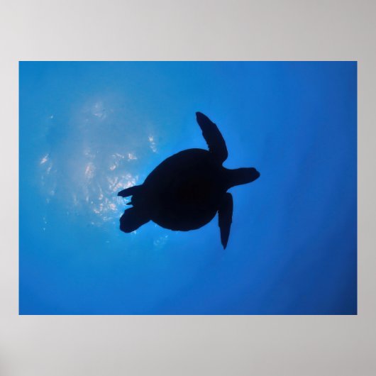 Zee Turtle Silouette Poster (Voorkant)