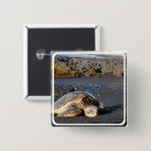Zee Turtle Square Pin Vierkante Button 5,1 Cm (Voorkant /achterkant)