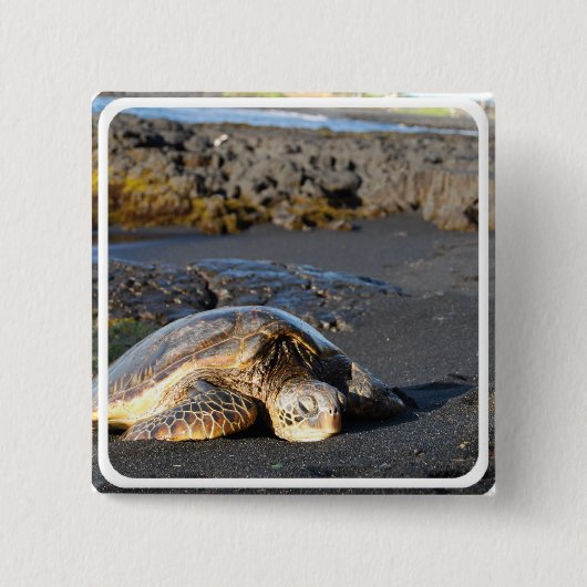 Zee Turtle Square Pin Vierkante Button 5,1 Cm (Voorkant)