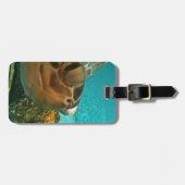 Zee Turtle Surprise Bagagelabel (Voorkant horizontaal)