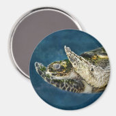 Zee Turtle Surprise Magneet (Voorkant / Achterkant)