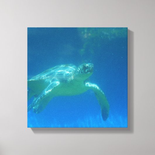 Zee Turtle Swim Canvas Print (Voorkant)