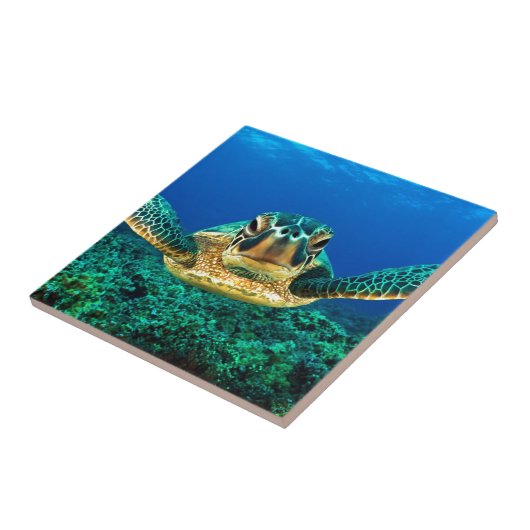 Zee Turtle Tegeltje (Zijkant)