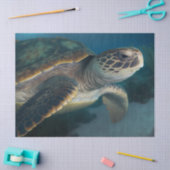 Zee Turtle Tissuepapier (Craft)