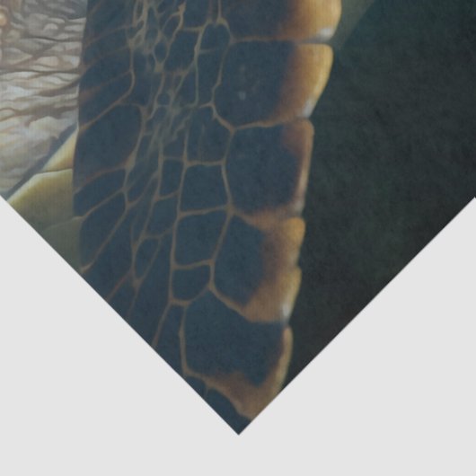 Zee Turtle Tissuepapier (Detail)