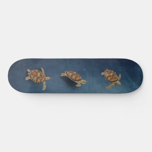 Zee Turtle Trio Persoonlijk Skateboard (Horizontaal)