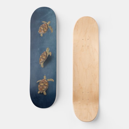 Zee Turtle Trio Persoonlijk Skateboard (Voorkant)