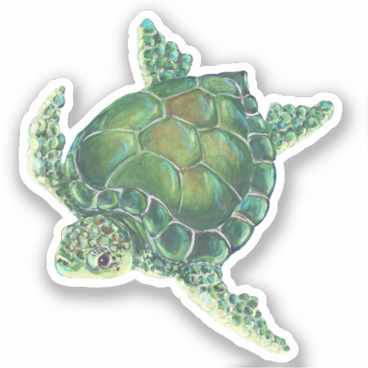 Zee Turtle Vinyl Sticker (Voorkant)