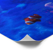 ZEE TURTLE WIND OP WATER POSTER (Hoek)