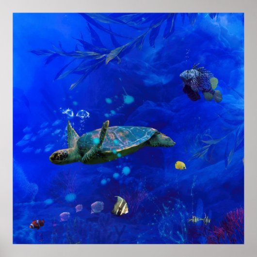 ZEE TURTLE WIND OP WATER POSTER (Voorkant)