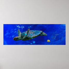 ZEE TURTLE WIND OP WATER POSTER