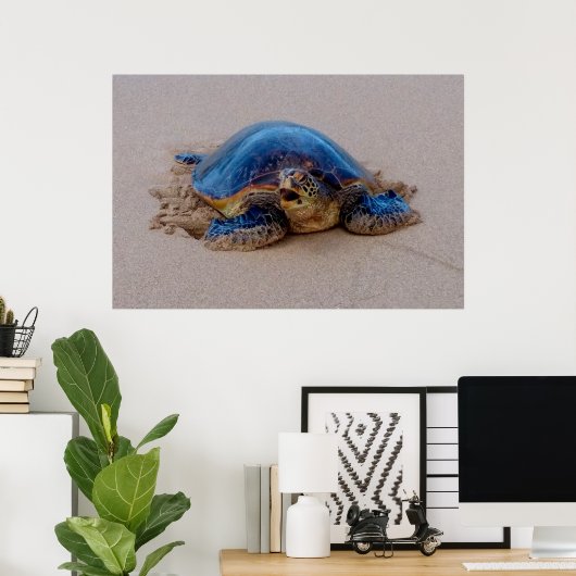 Zee Turtle Yawning Poster (Thuiskantoor)