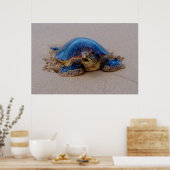 Zee Turtle Yawning Poster (Keuken)