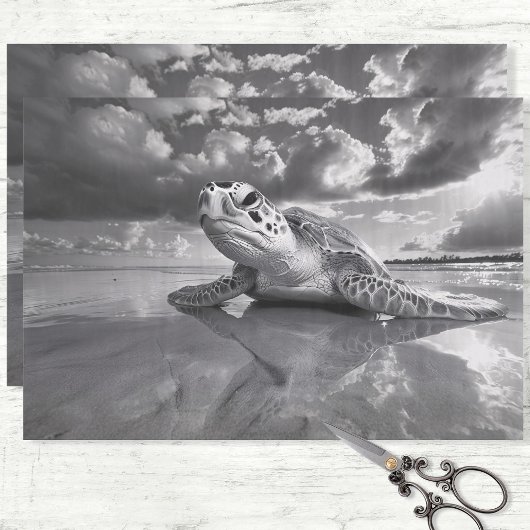 Zee Turtle Zwart-wit Decoupage Tissuepapier