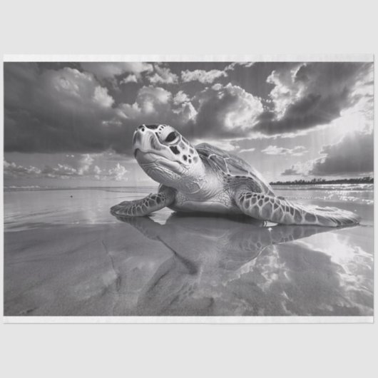 Zee Turtle Zwart-wit Decoupage Tissuepapier (Voorkant)