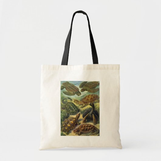  Zee Turtles Land Tortoise door Ernst Haeckel Tote Bag (Voorkant)