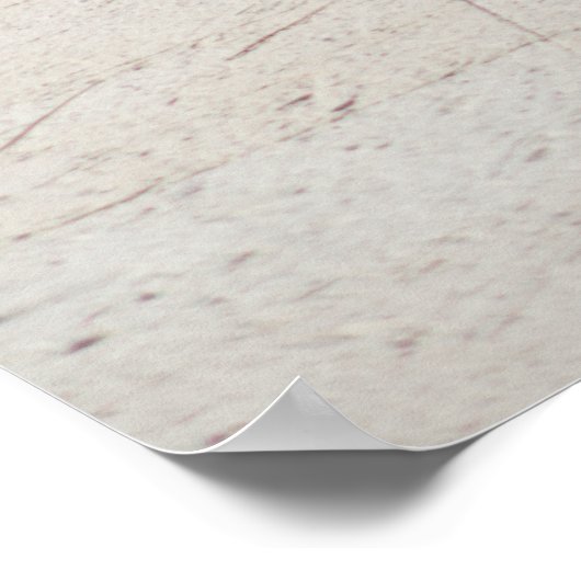 Zee Uitzicht belemmerd door een struik Poster (Hoek)