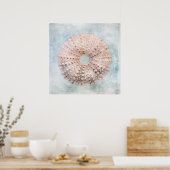 Zee Urchin Distsed Coastal Blue Cream Painting Poster (Keuken)