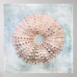 Zee Urchin Distsed Coastal Blue Cream Painting Poster