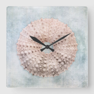 Zee Urchin Distsed Coastal Blue Cream Painting Vierkante Klok