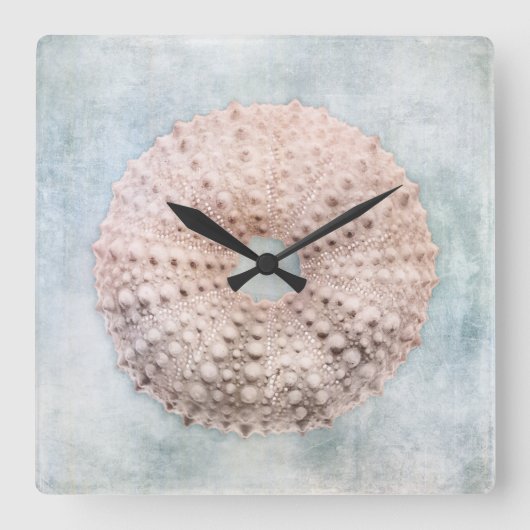 Zee Urchin Distsed Coastal Blue Cream Painting Vierkante Klok (Voorkant)