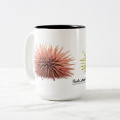 Zee Urchin, Echinometra mathaei Tweekleurige Koffiemok (Voorkant links)