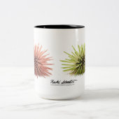 Zee Urchin, Echinometra mathaei Tweekleurige Koffiemok (Center)