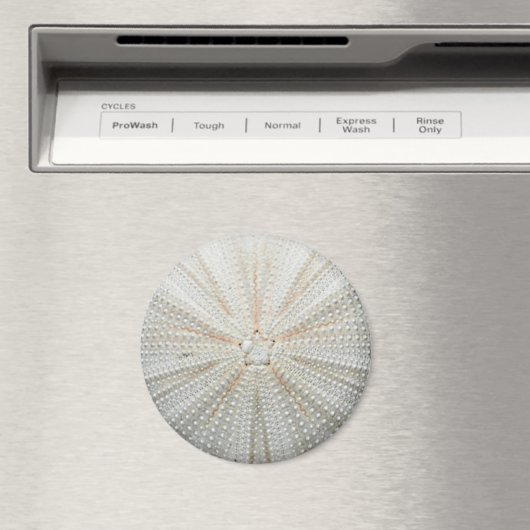 Zee Urchin Koelkastmagneet - rond Magneet (Insitu (Vaatwasser))