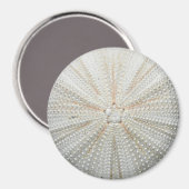 Zee Urchin Koelkastmagneet - rond Magneet (Voorkant / Achterkant)