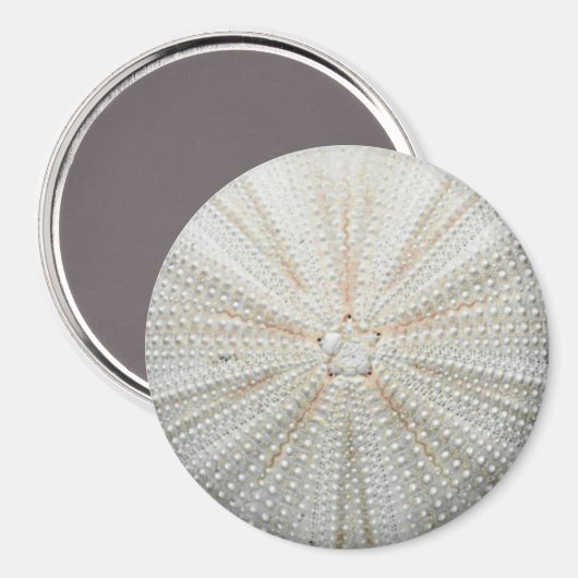 Zee Urchin Koelkastmagneet - rond Magneet (Voorkant / Achterkant)