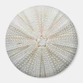 Zee Urchin Koelkastmagneet - rond Magneet (Voorkant)