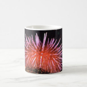 Zee Urchin Koffiemok