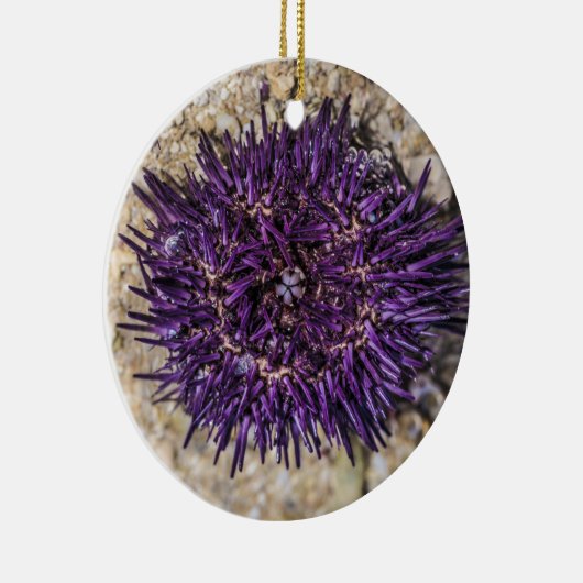 Zee Urchin Ocean Beach Vakantie Zomer Souvenir Keramisch Ornament (Rechts)