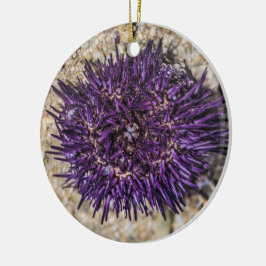 Zee Urchin Ocean Beach Vakantie Zomer Souvenir Keramisch Ornament