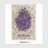 Zee Urchin Ocean Beach Vakantie Zomer Souvenir Sticker (Vel)