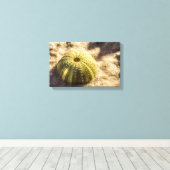 Zee Urchin op nat zeeen zand Canvas Print (Insitu (Houten vloer))